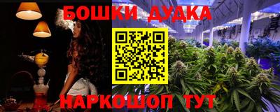 крисы Краснознаменск
