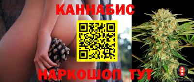 крисы Краснознаменск