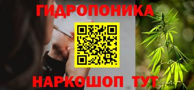 крисы Краснознаменск