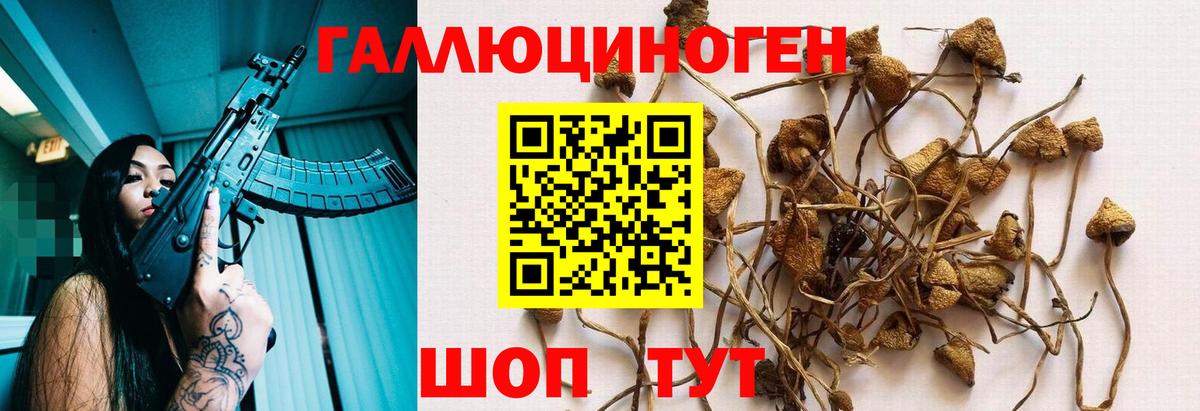 Ялта  цены   Псилоцибиновые грибы Psilocybine cubensis  Вход с VPN  Псилоцибиновые грибы Magic Shrooms 